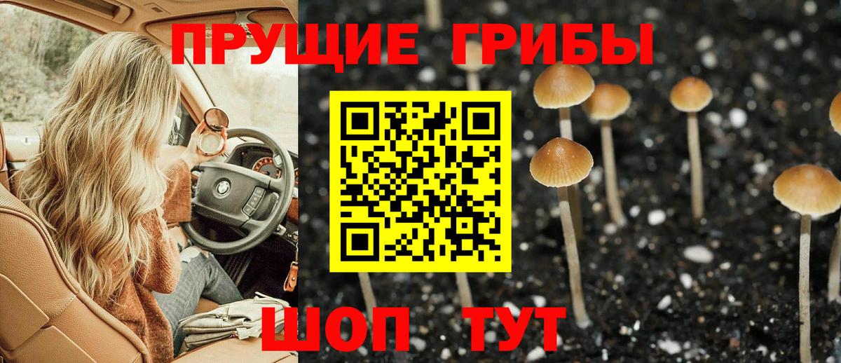 Псилоцибиновые грибы прущие грибы Черкесск
