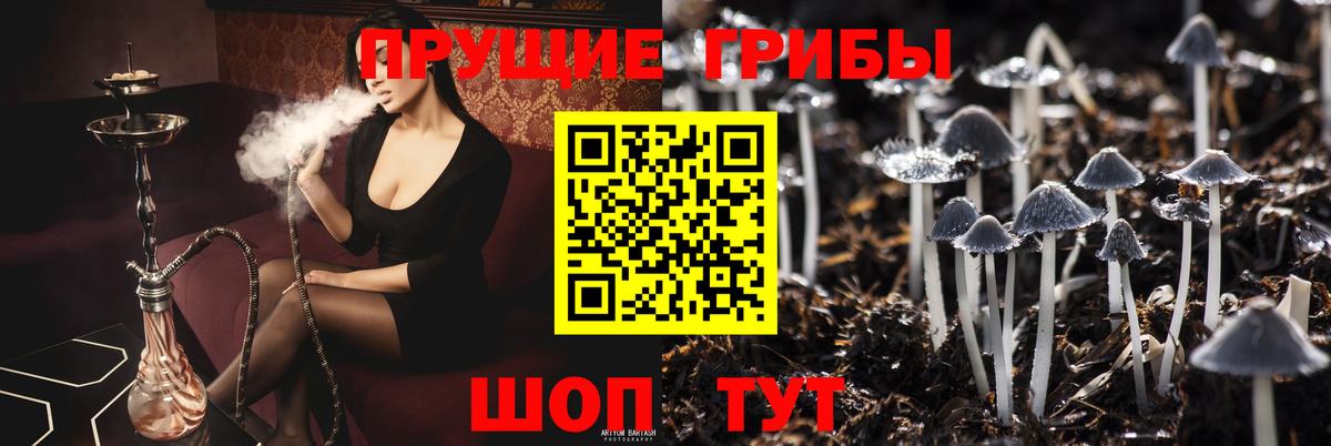 Галлюциногенные грибы мицелий  Вход с VPN  Черкесск 